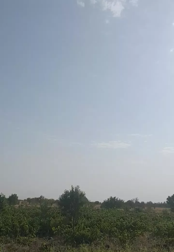 ۲۵۰۰متر باغ انگور و بادام بحر اتوبان قزوین