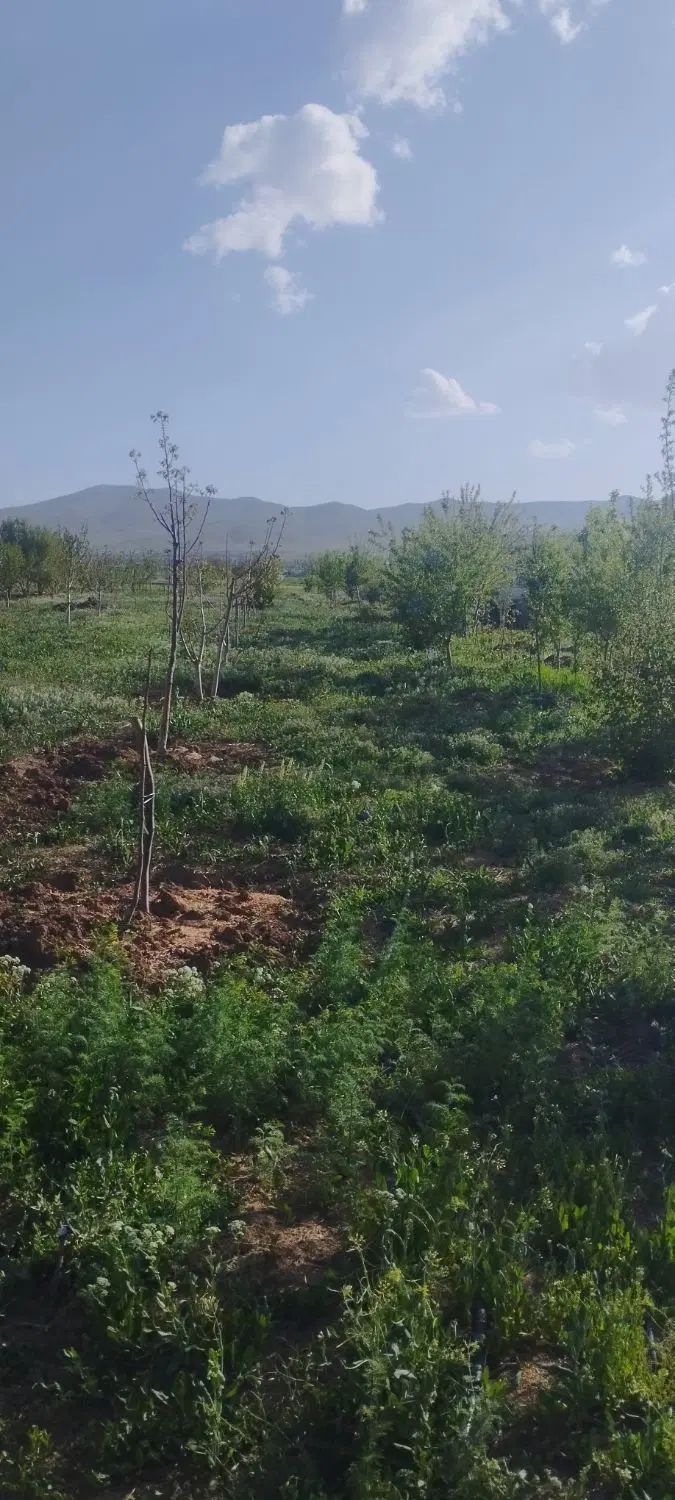 زمین گوار  فروشی