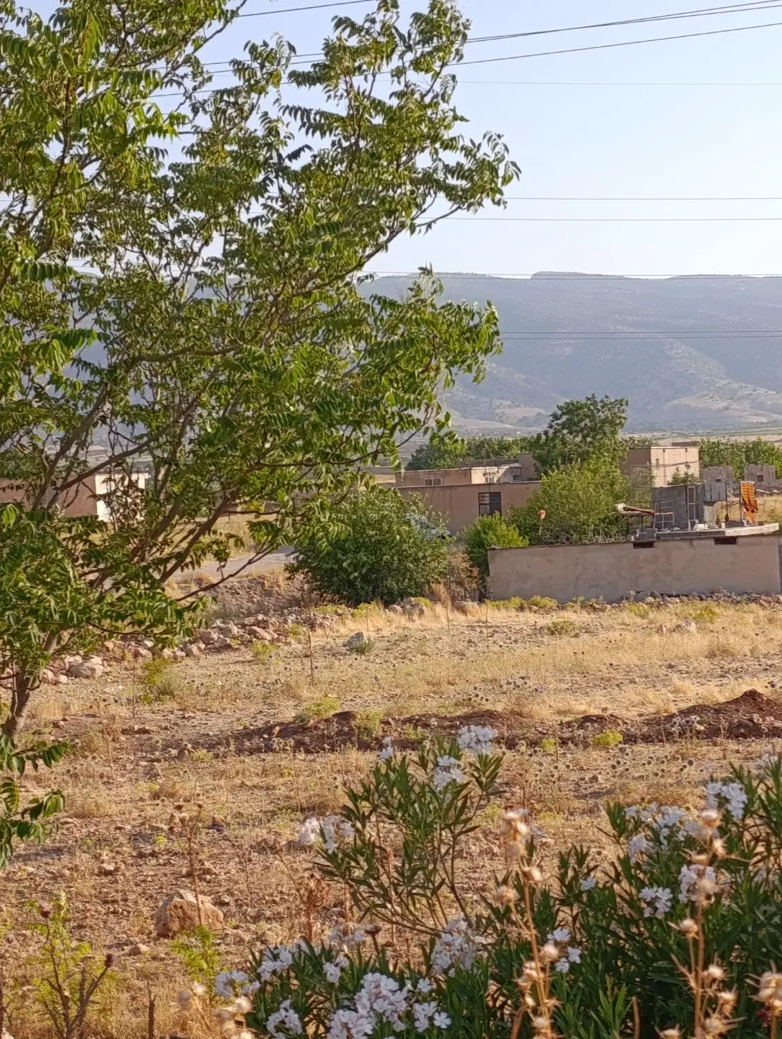 فروش زمین