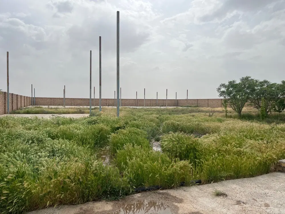 دامداری باغ ویلا