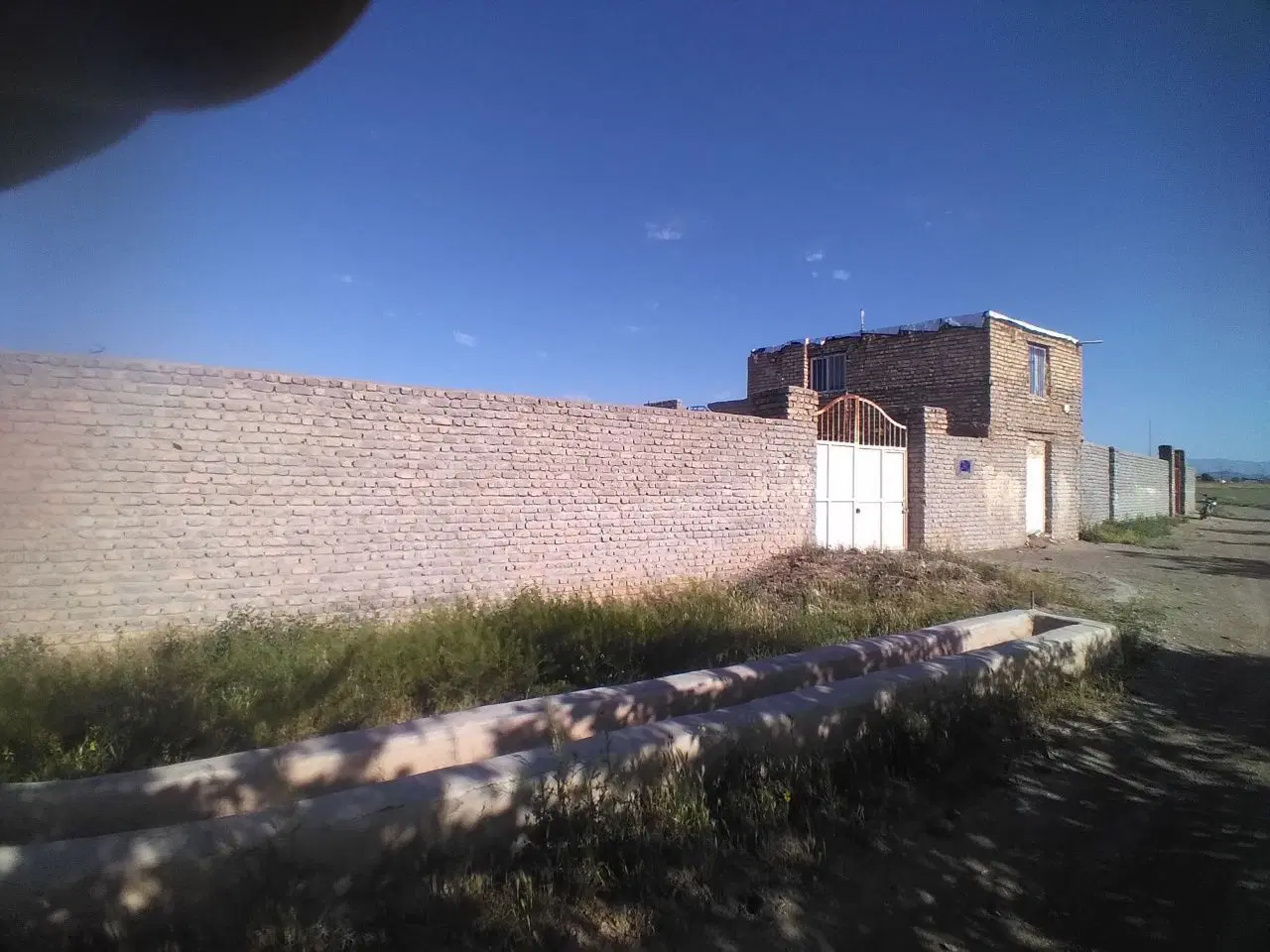 گاو داری صنعتی
