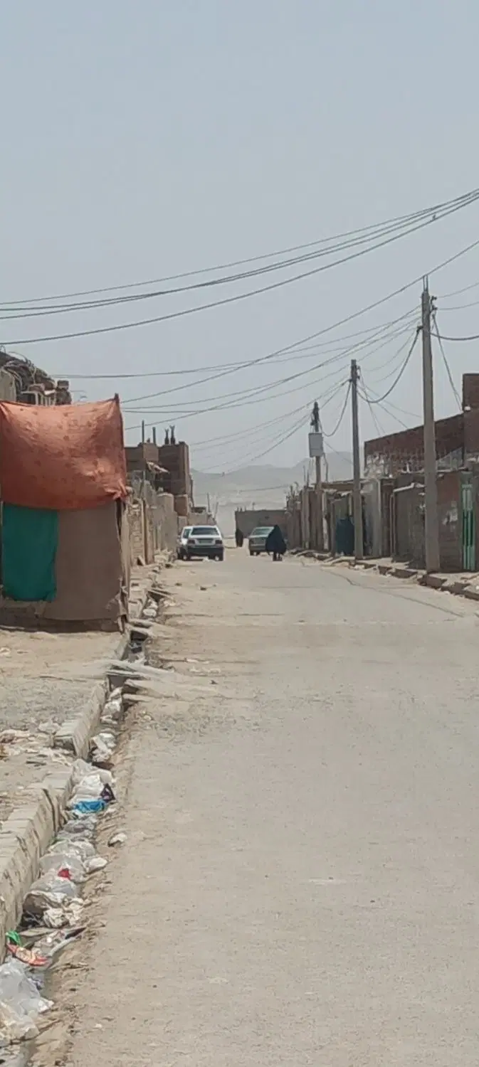 زمین پشتک ۱۱۵ متر  چهار دیوار  کشاورز امامت