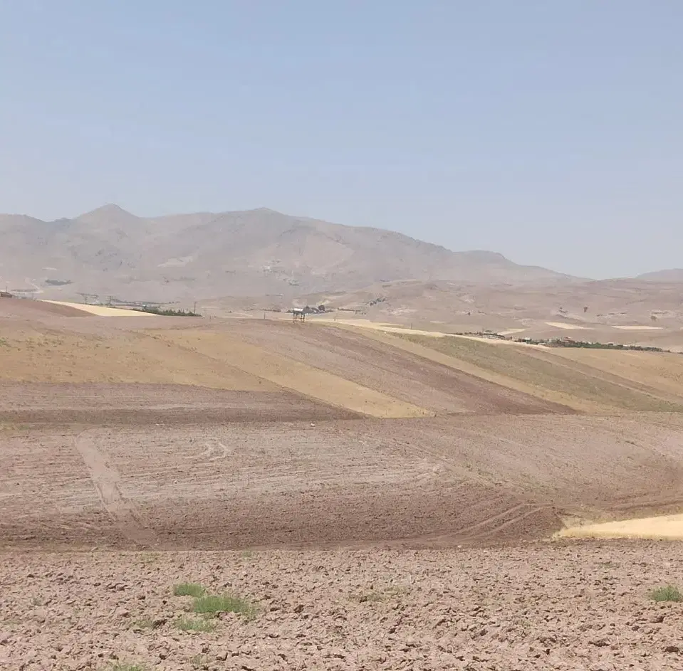زمین زراعی کورانه