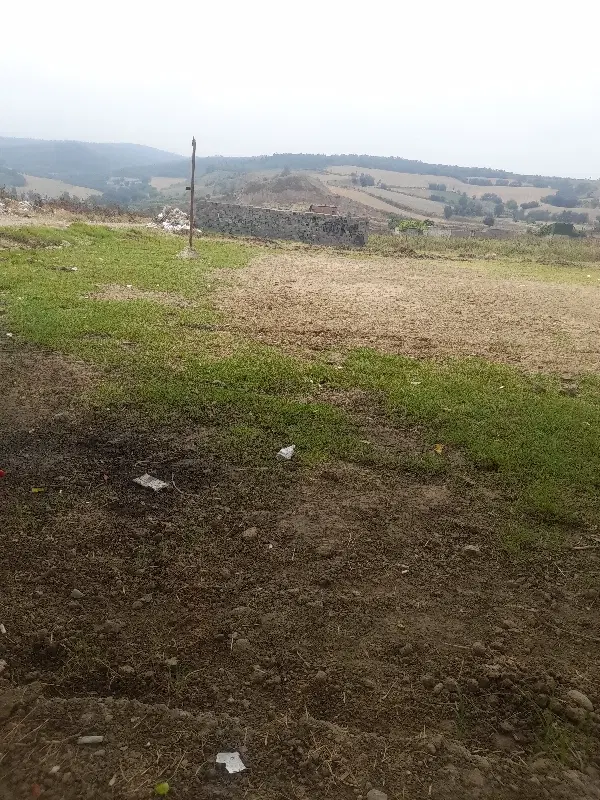 اجاره خانه ویلایی در امیراباد