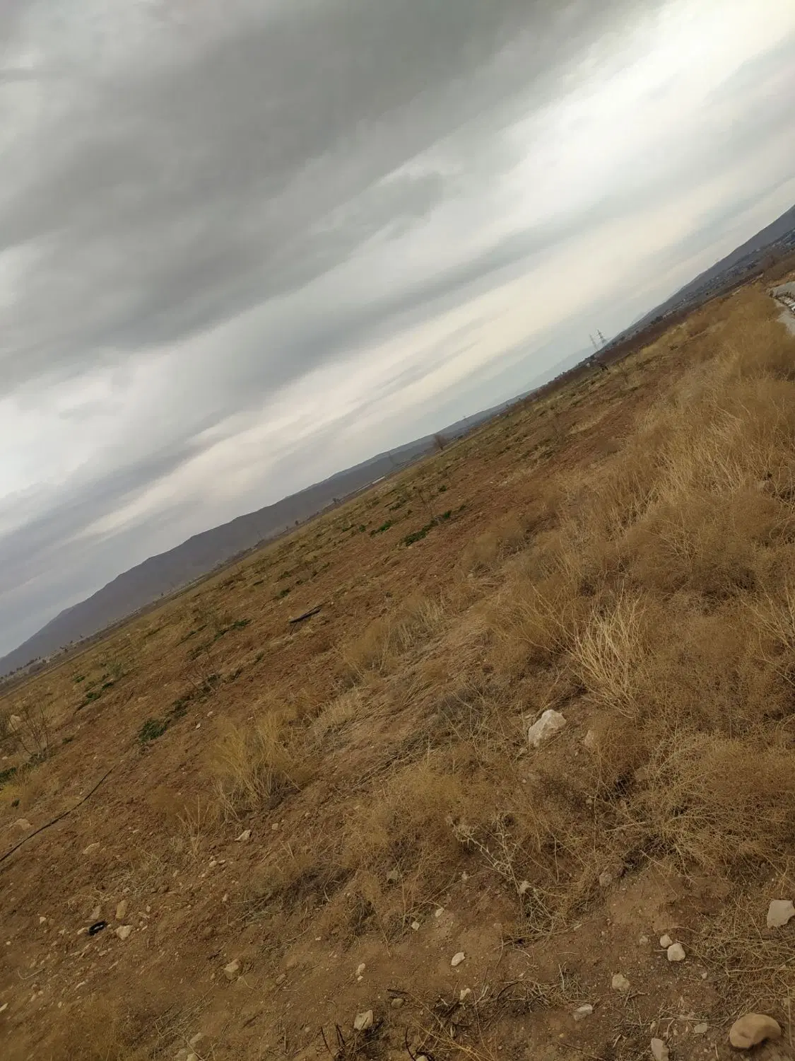 زمین مسکونی واقع در روستای تنگ کرم