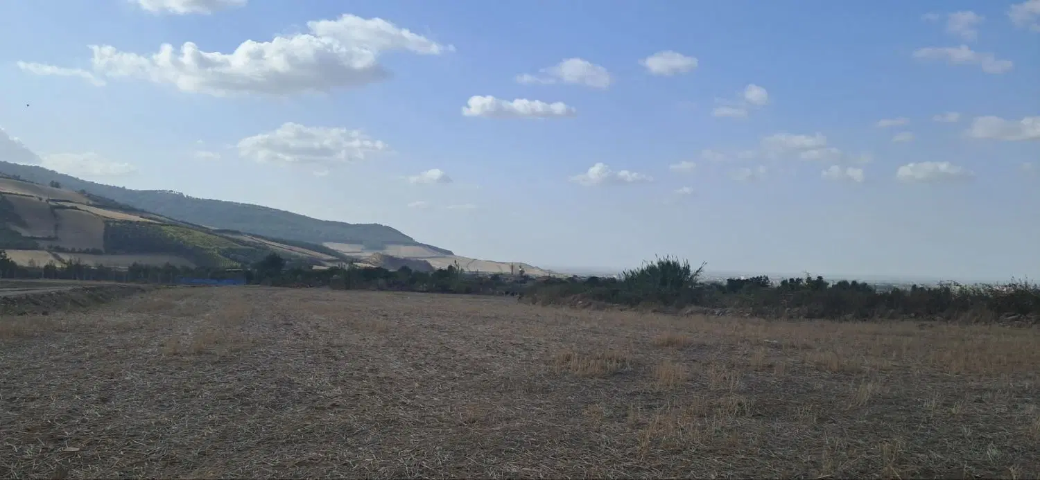 زمین کشاورزی
