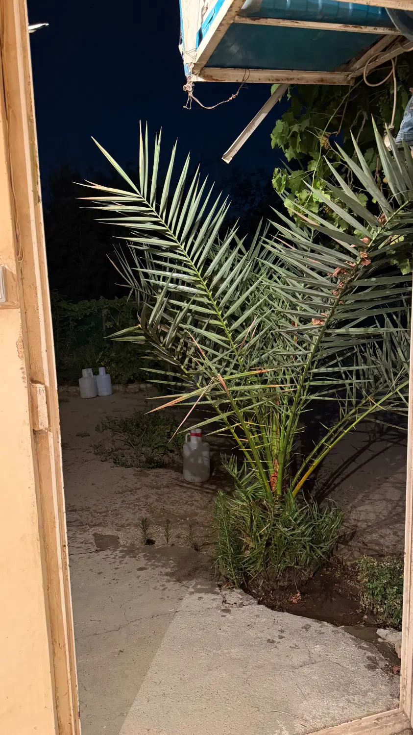 اجاره واحد حتی مجرد