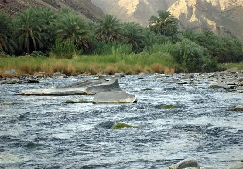 اجاره سوله درمنطقه آزاد