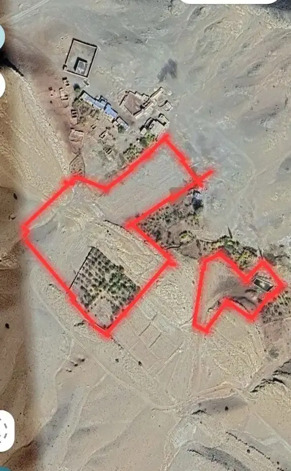 سه دونگ از مزرعه فروشی