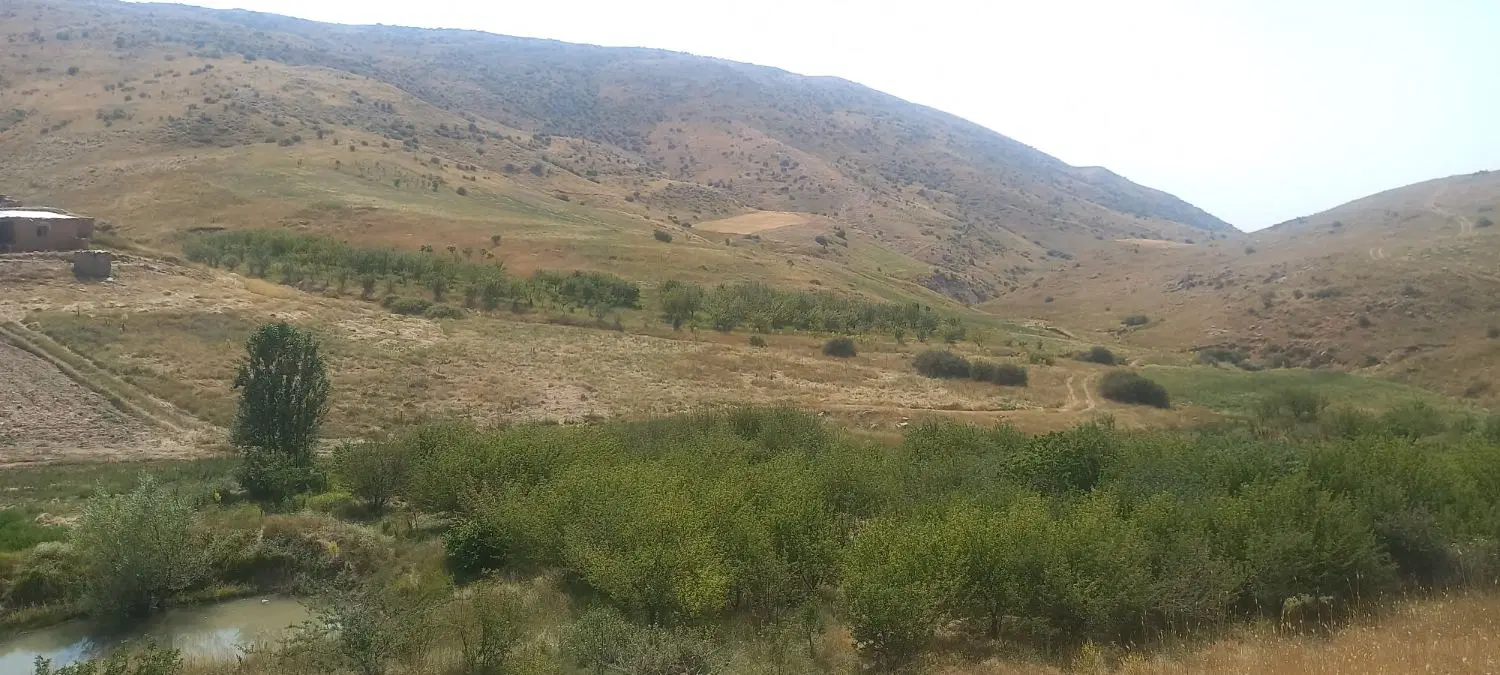 مرتع چراگاه برا مال با بهترین امکانات