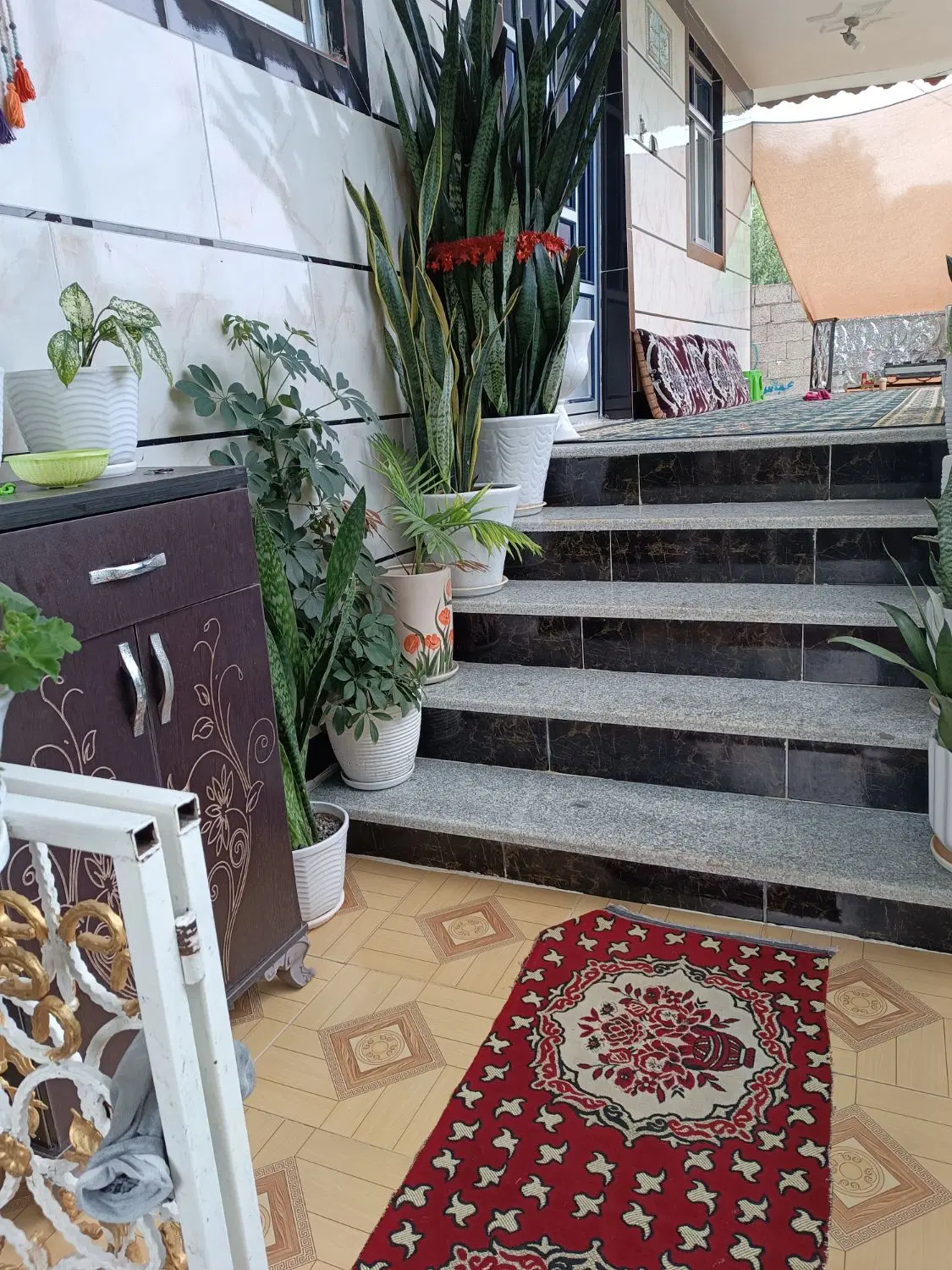 اجاره روزانه سالانه ماسال تنیان