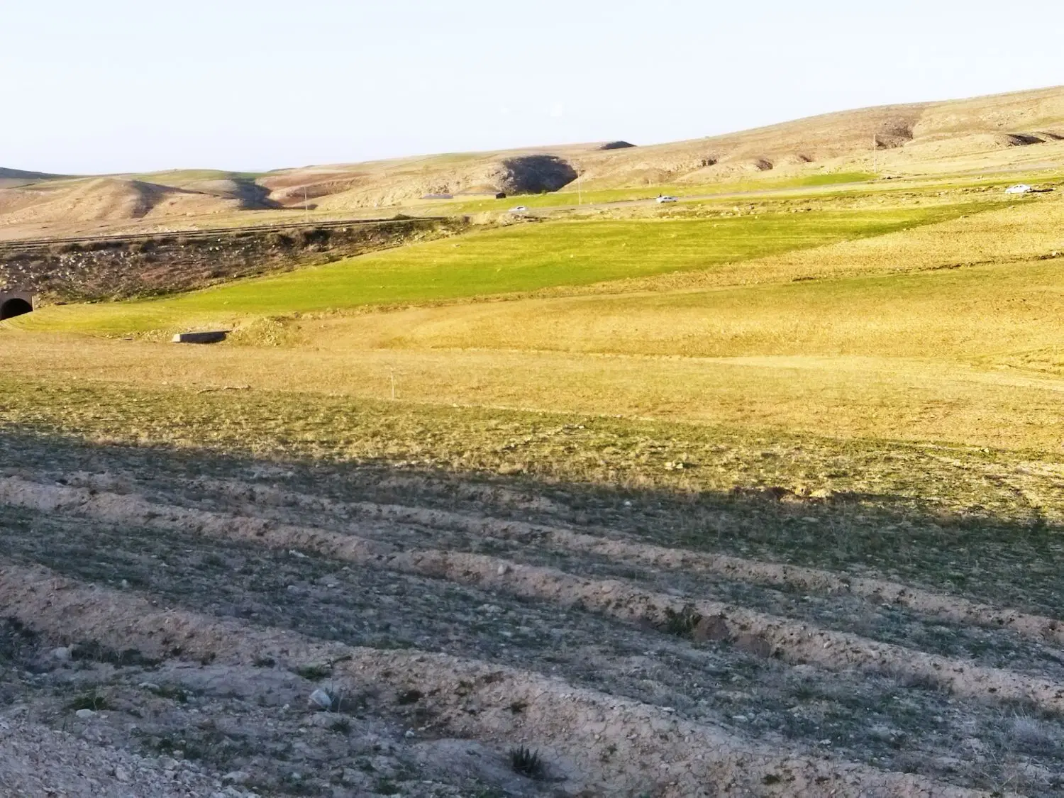 زمین برای باغ و ویلا ۱۱۰۰متر مهنان