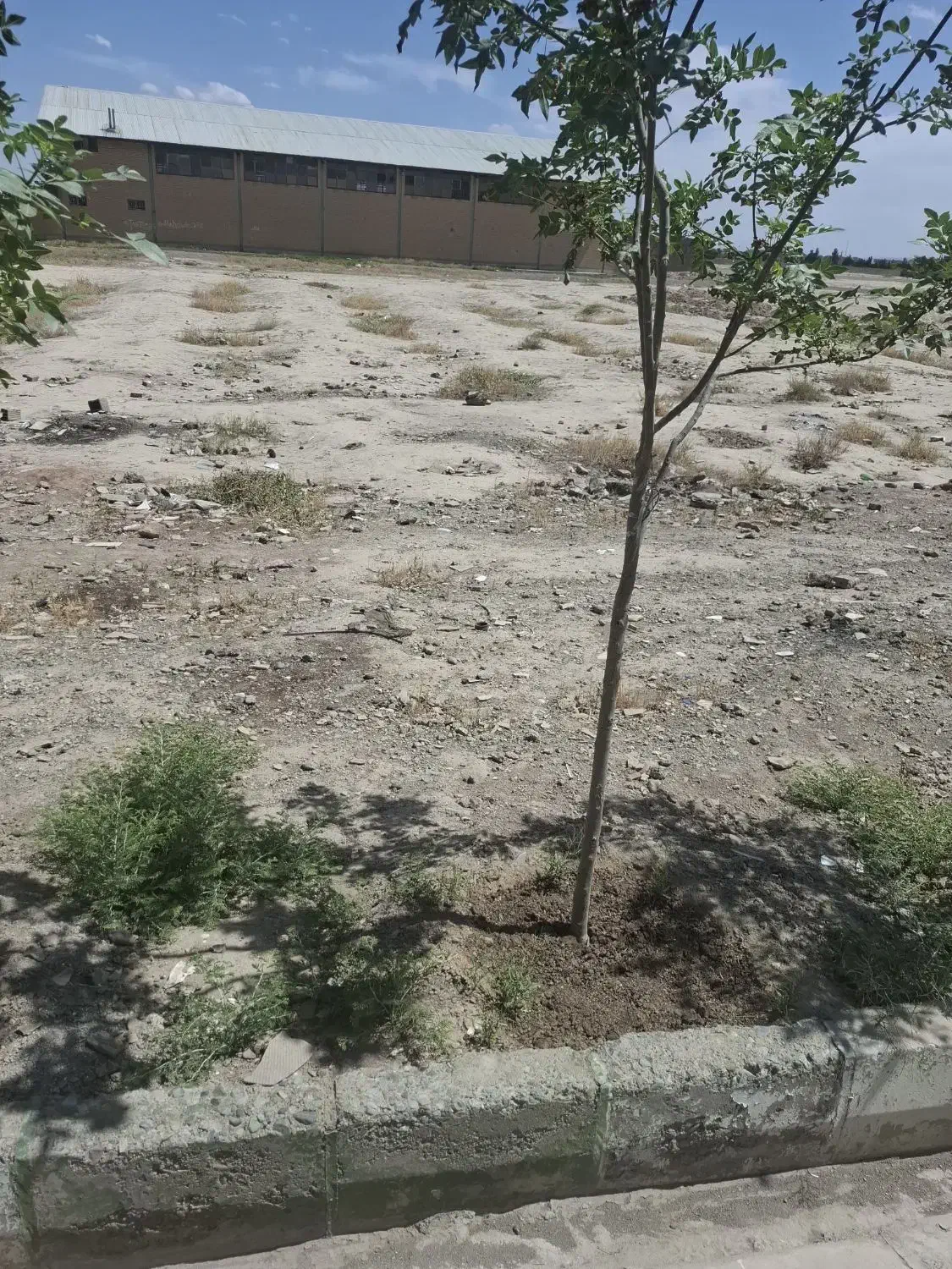 زمین در الارد خیابان ۱۸ متری پشت فولادوند