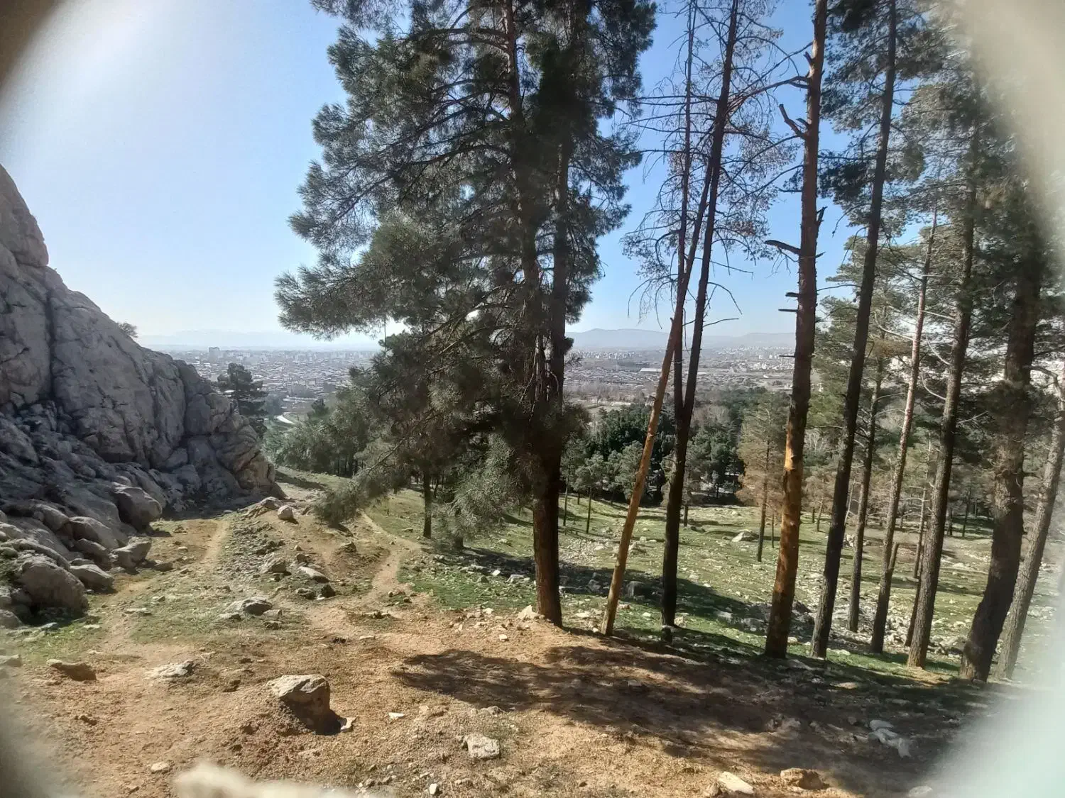 ۱۶۰ متر زمین شمالی _دانش_پرواز_نساجی_جهاد