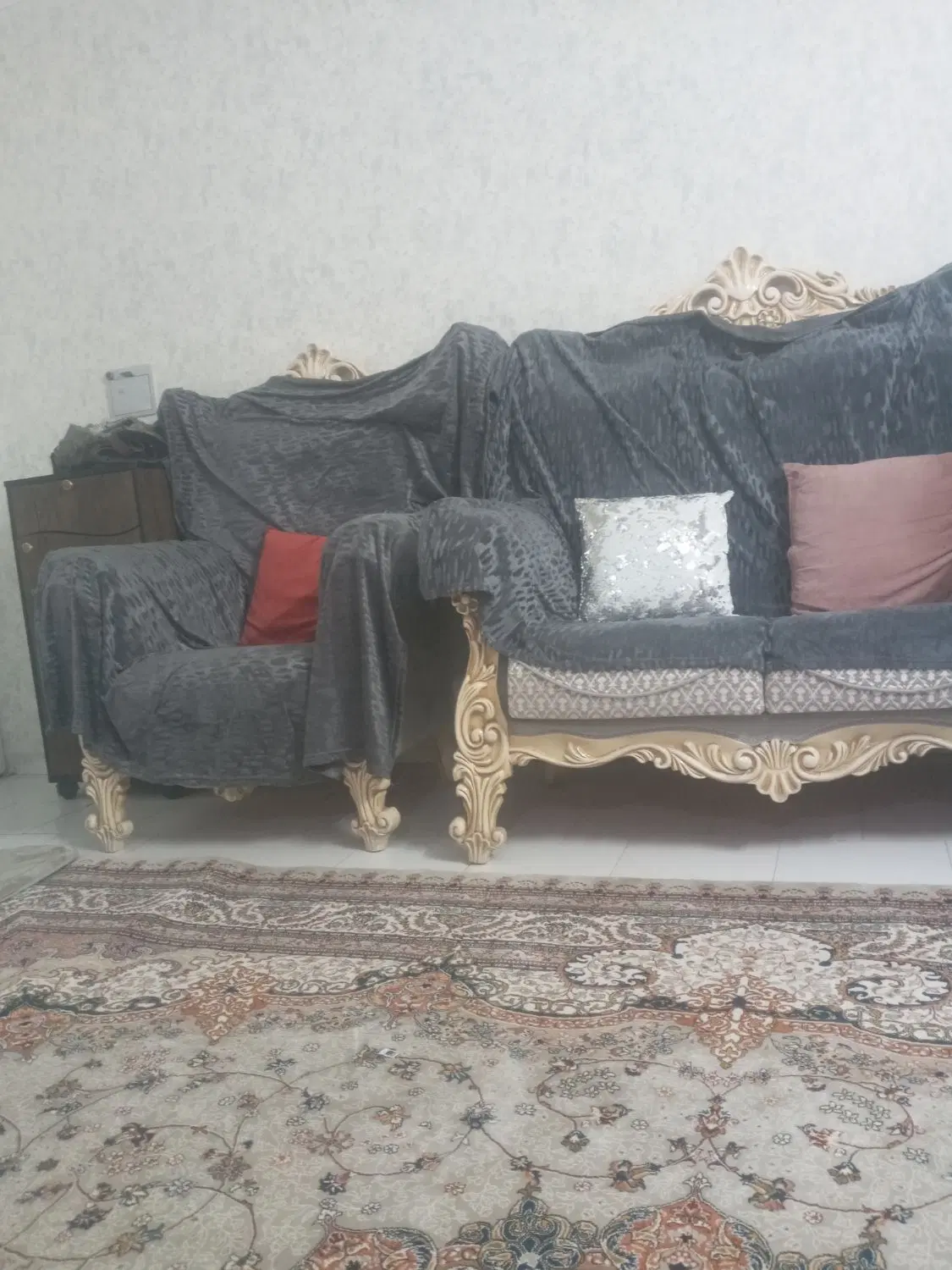 هم خانه فقط خانم