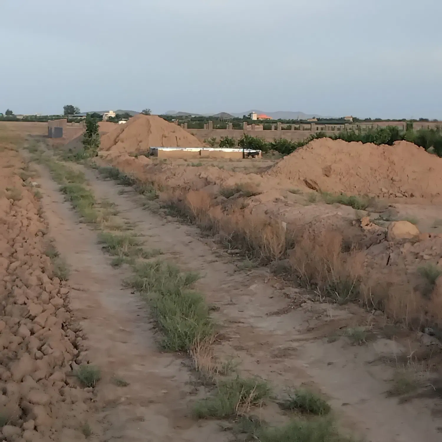 زمین باغی با قابلیت مسکونی