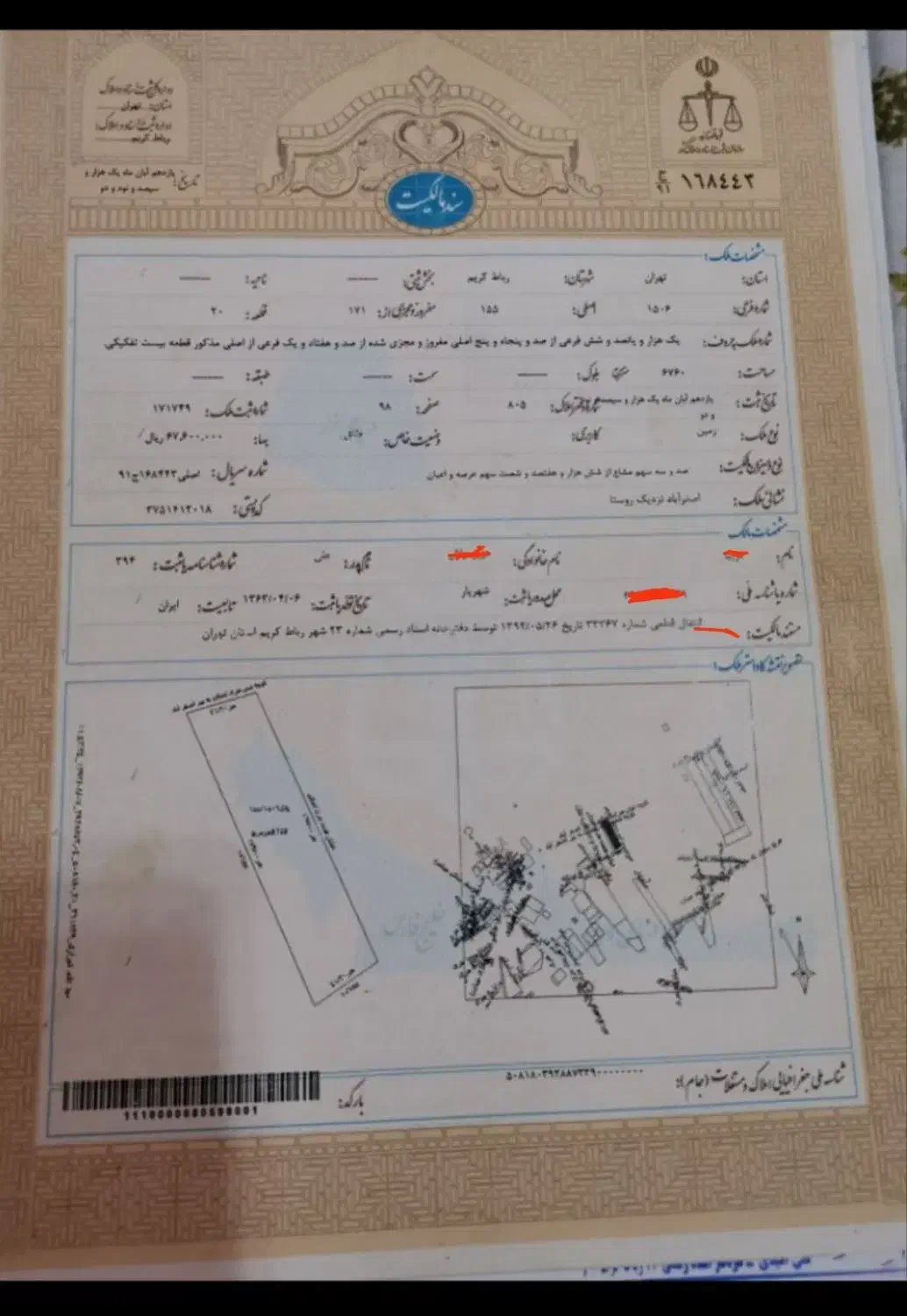 زمین تک برگ