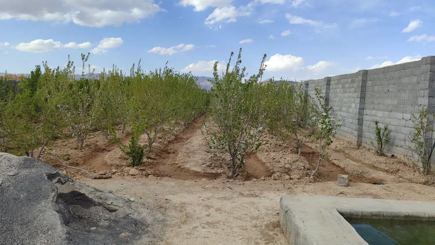 باغ ۱۲۰۰متری کوشک