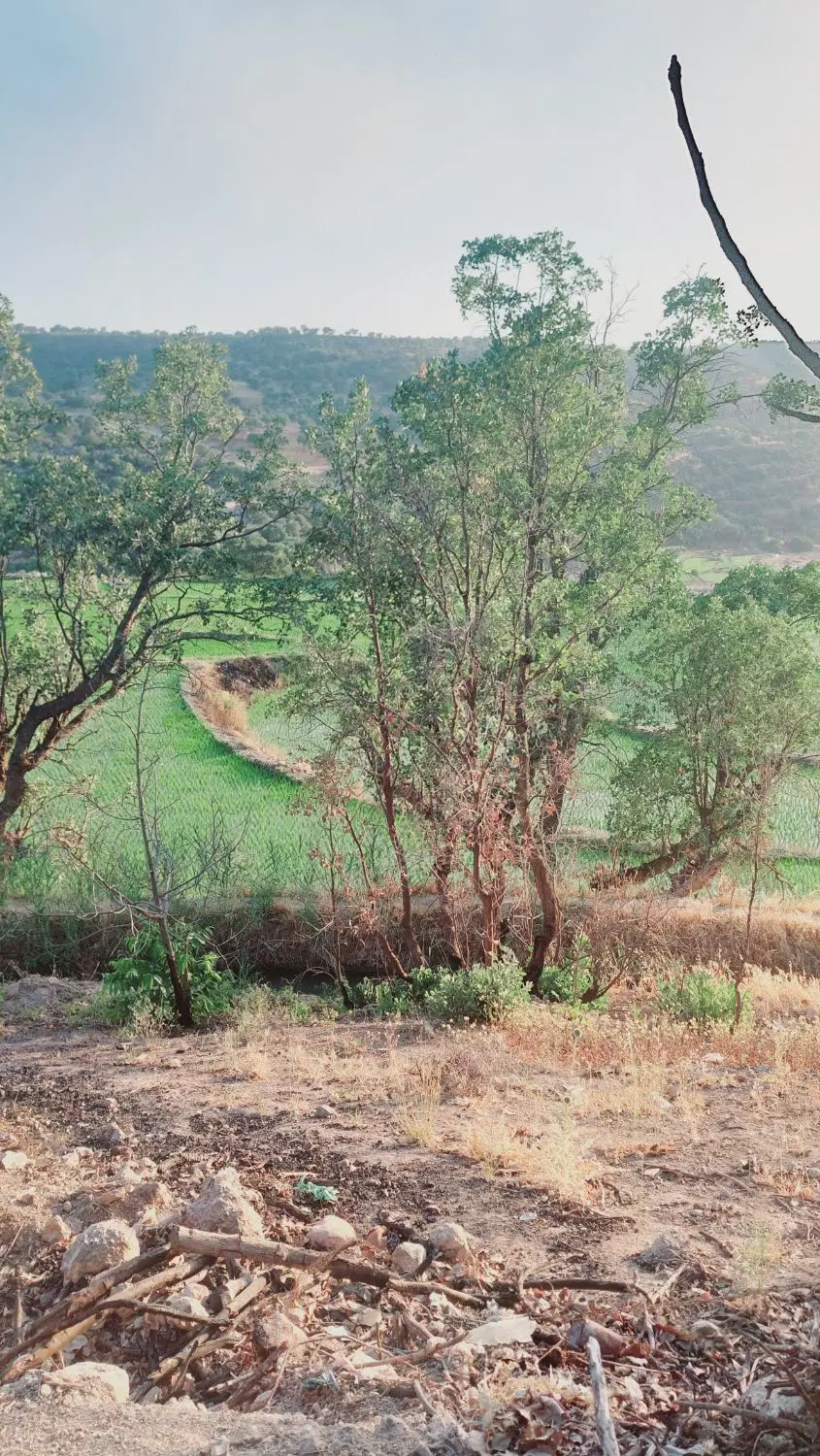 کلنگی سالم آباد.شمالی