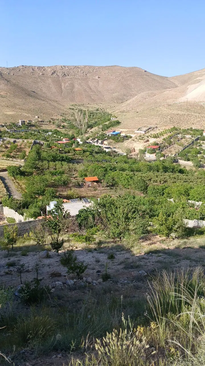 زمین