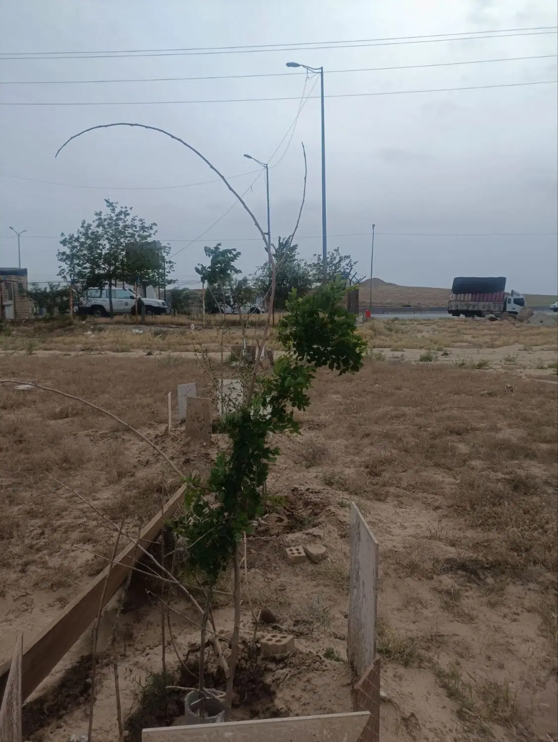 زمین کشاورزی باغی مناسب