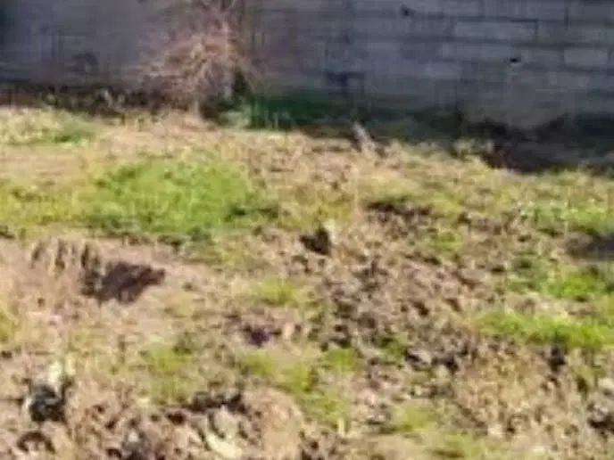فروش زمین بم