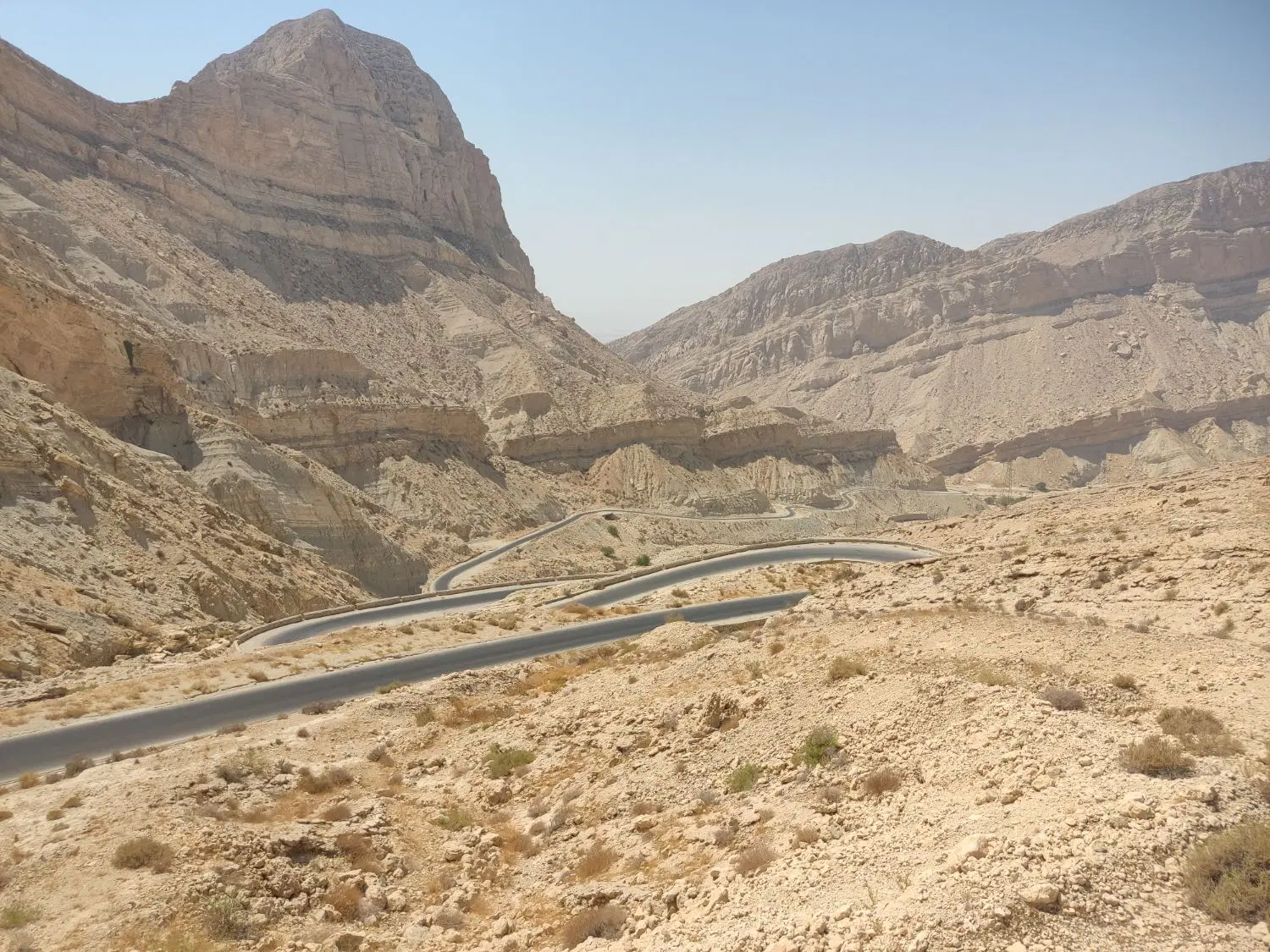 یک قطعه زمین مسکونی