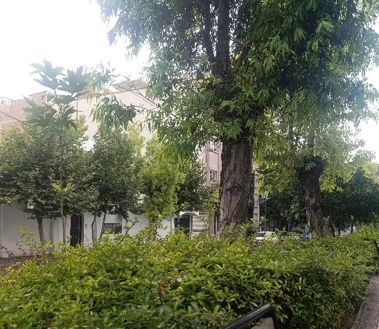 فروش ملک تجاری مسکونی