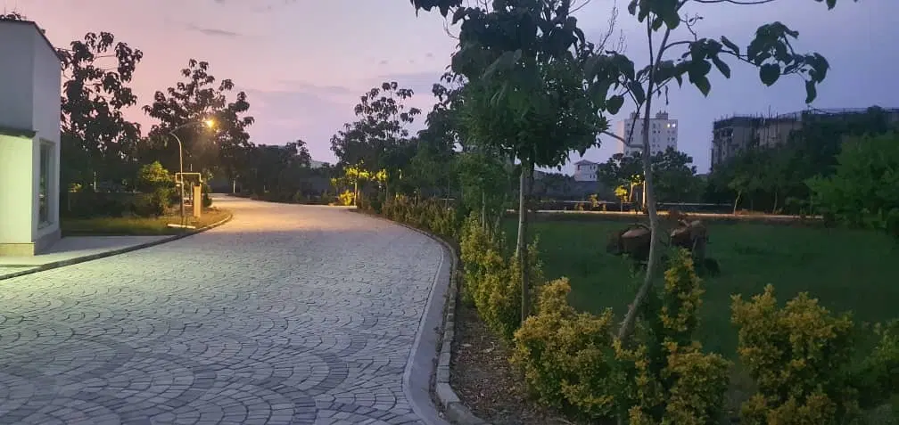 ۳۱۰ متر آناناس۳ ساحلی