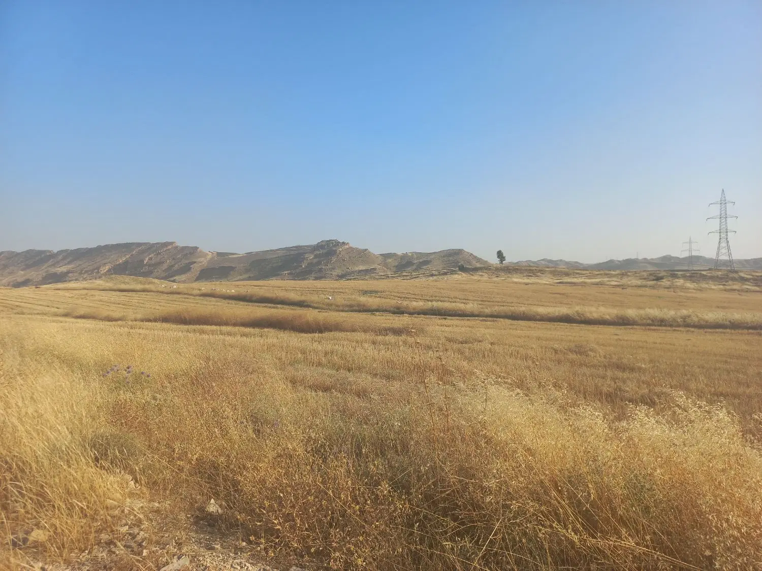 معاوضه زمین کشاورزی با خودرو