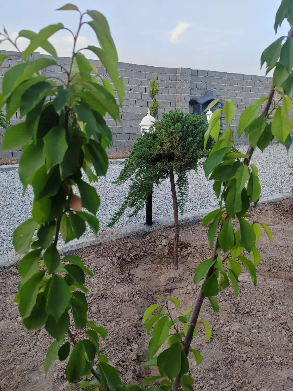 باغچه چهاردیواری با اب و برق