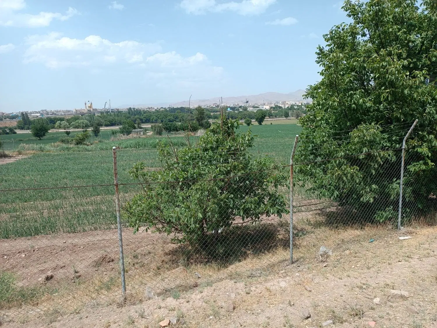 زمین باغی در محدوده شهر۱دقیقه