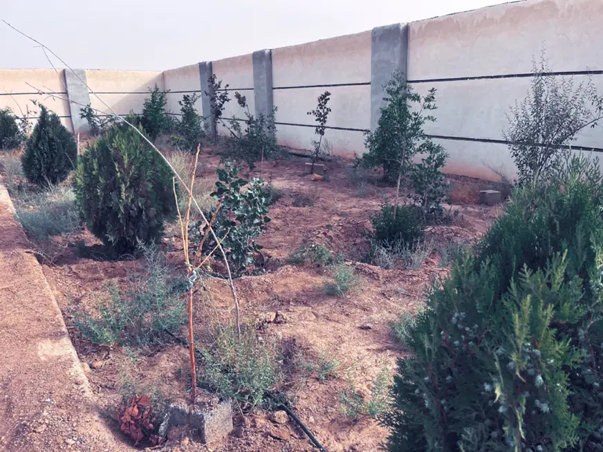 فروش ۲۵ هکتار زمین با سند تک برگ در استان اصفهان