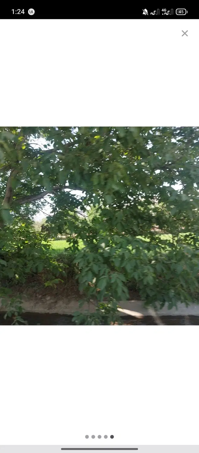 خونه باغ ، زمین کشاورزی ۶۰۰ متری