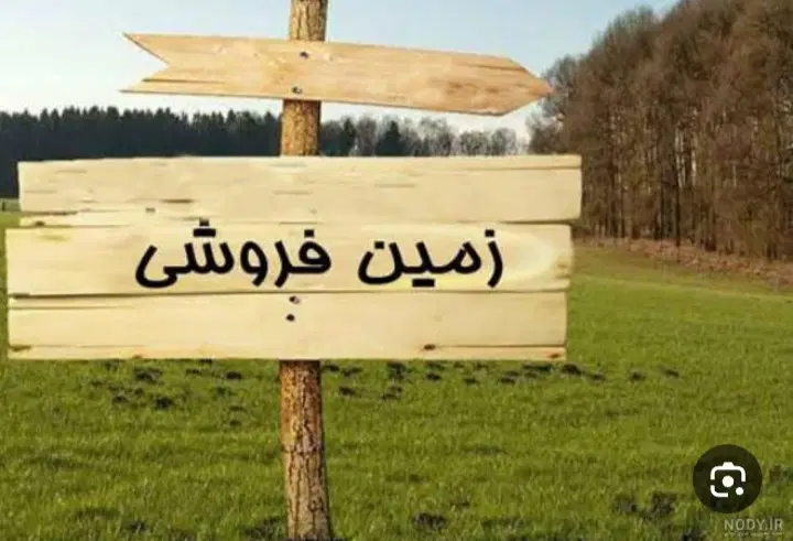 ۲۰ قصب زمین ملک