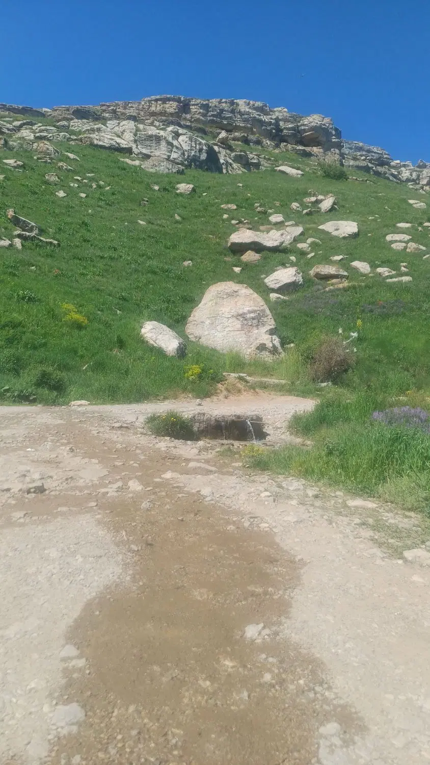 باغ