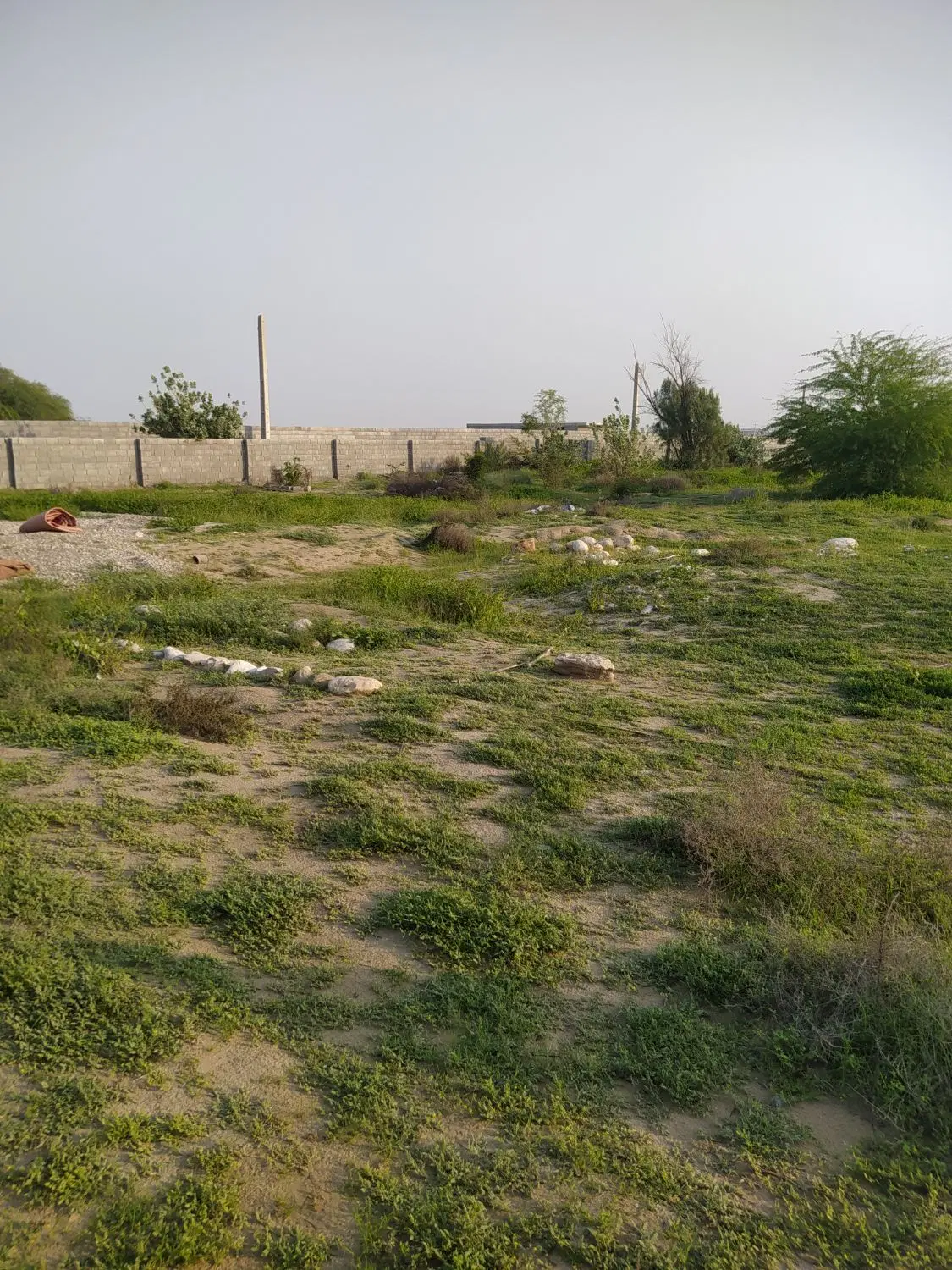 زمین فروشی