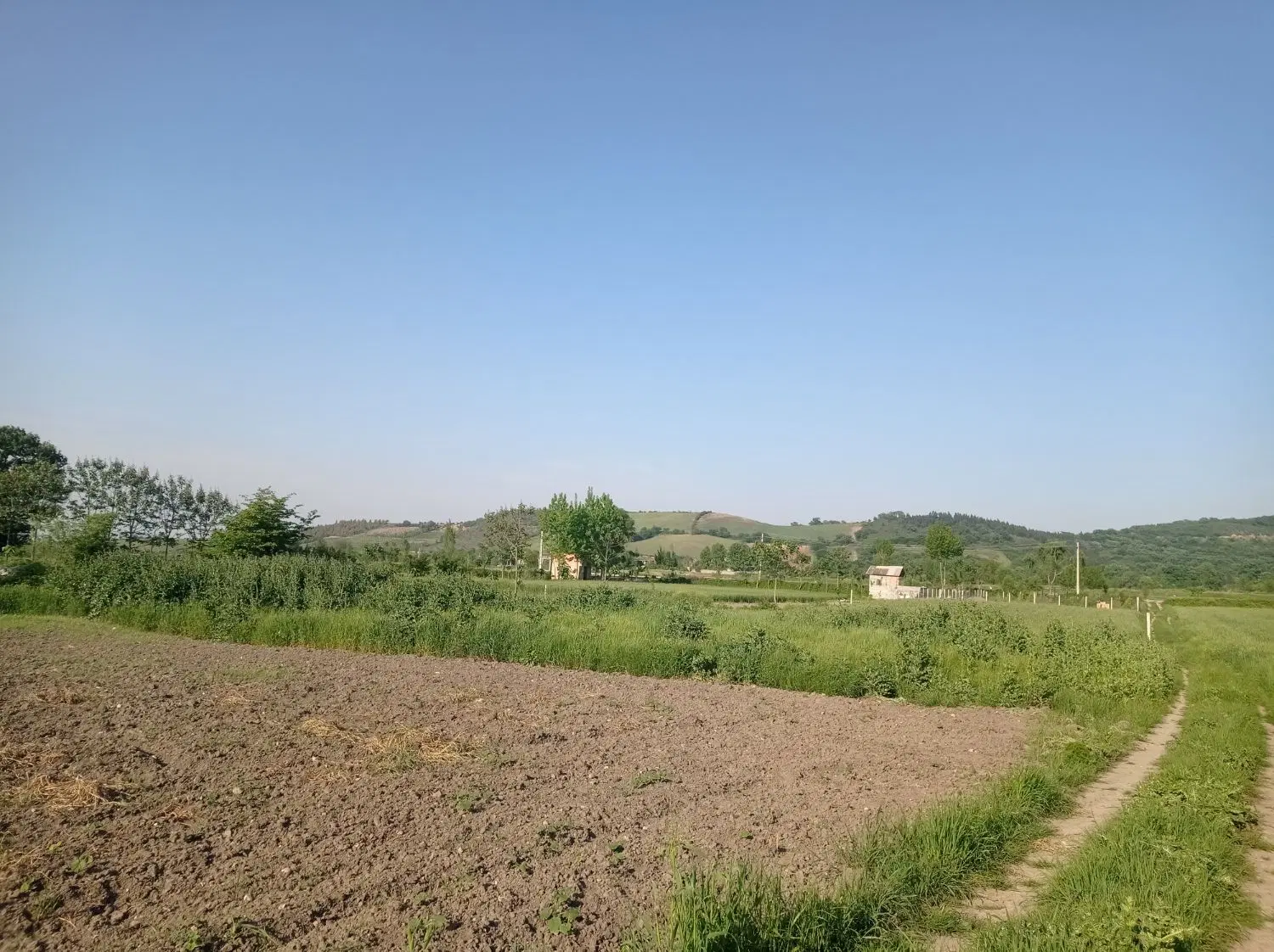 زمین باغی