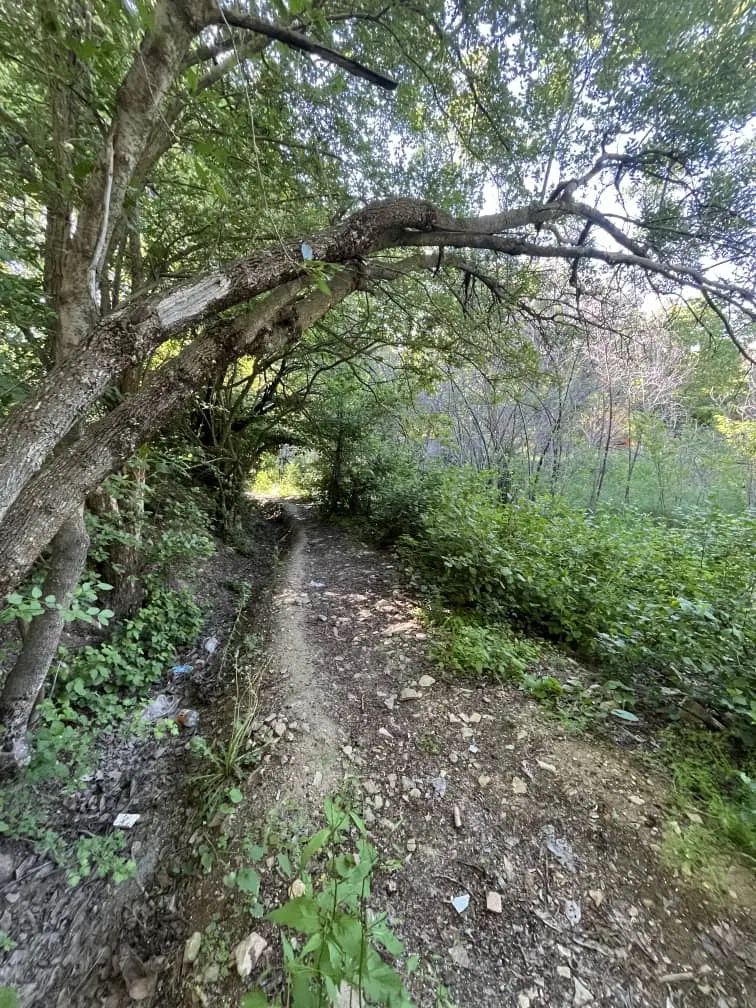 ارنگه سنددار ۲۰۰متر