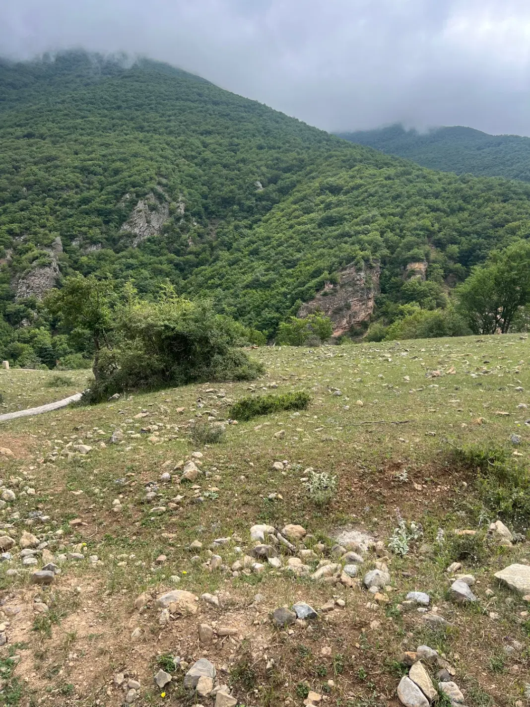 فروش زمین در منطقه زیبای کندلوس