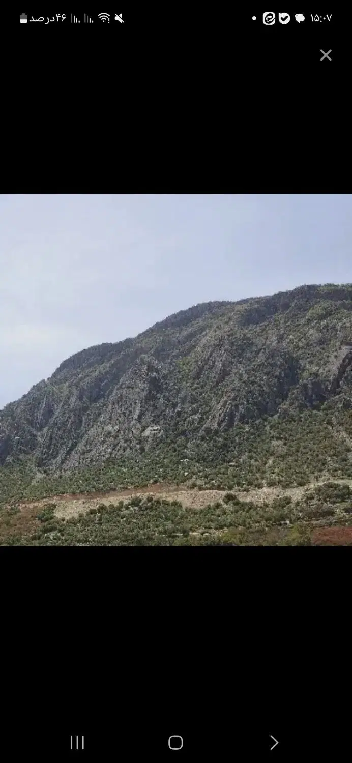 زمین اساتید
