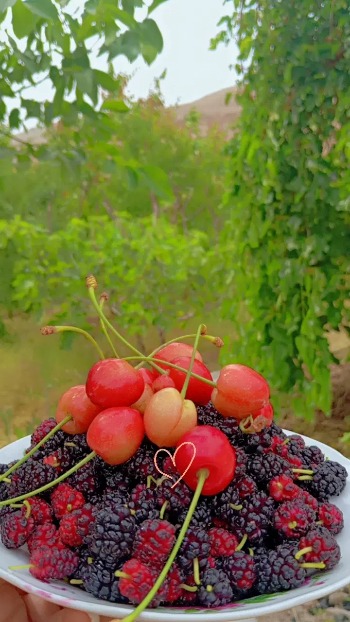 ویلا باغ