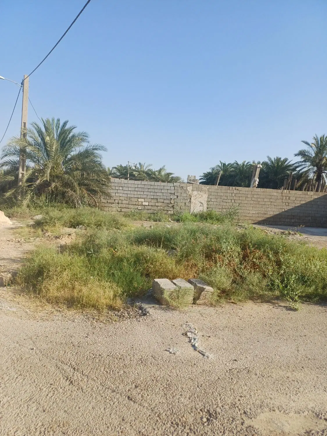 زمین ۱۱۵ متری دو نبش