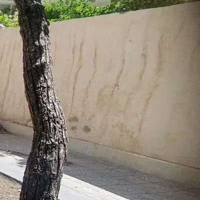 ۳۰۰ متر زمین والائیان