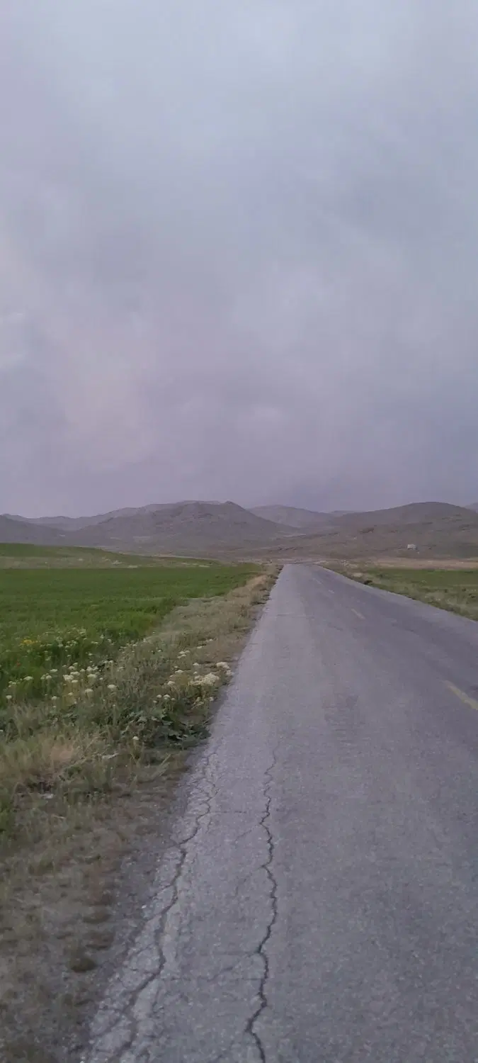 مسکن