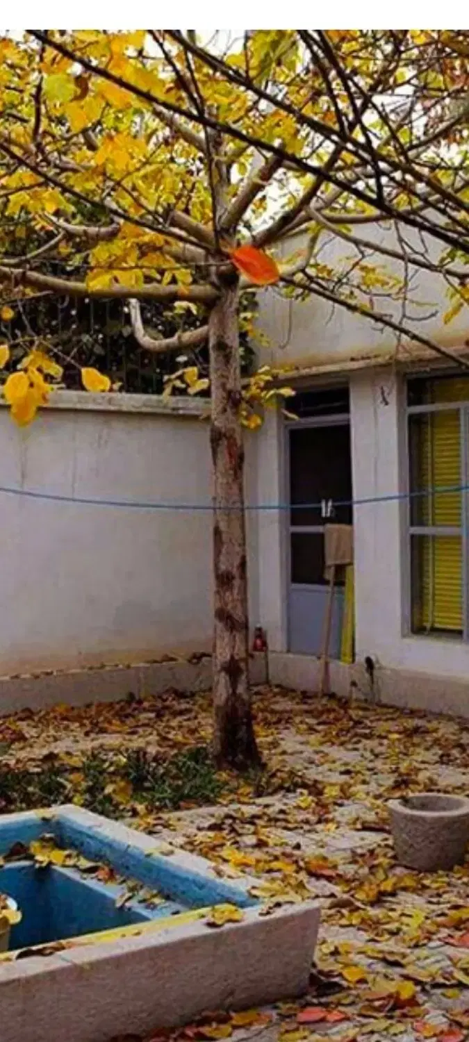 منزل ۱۶۳ متری حیاط دار دربست