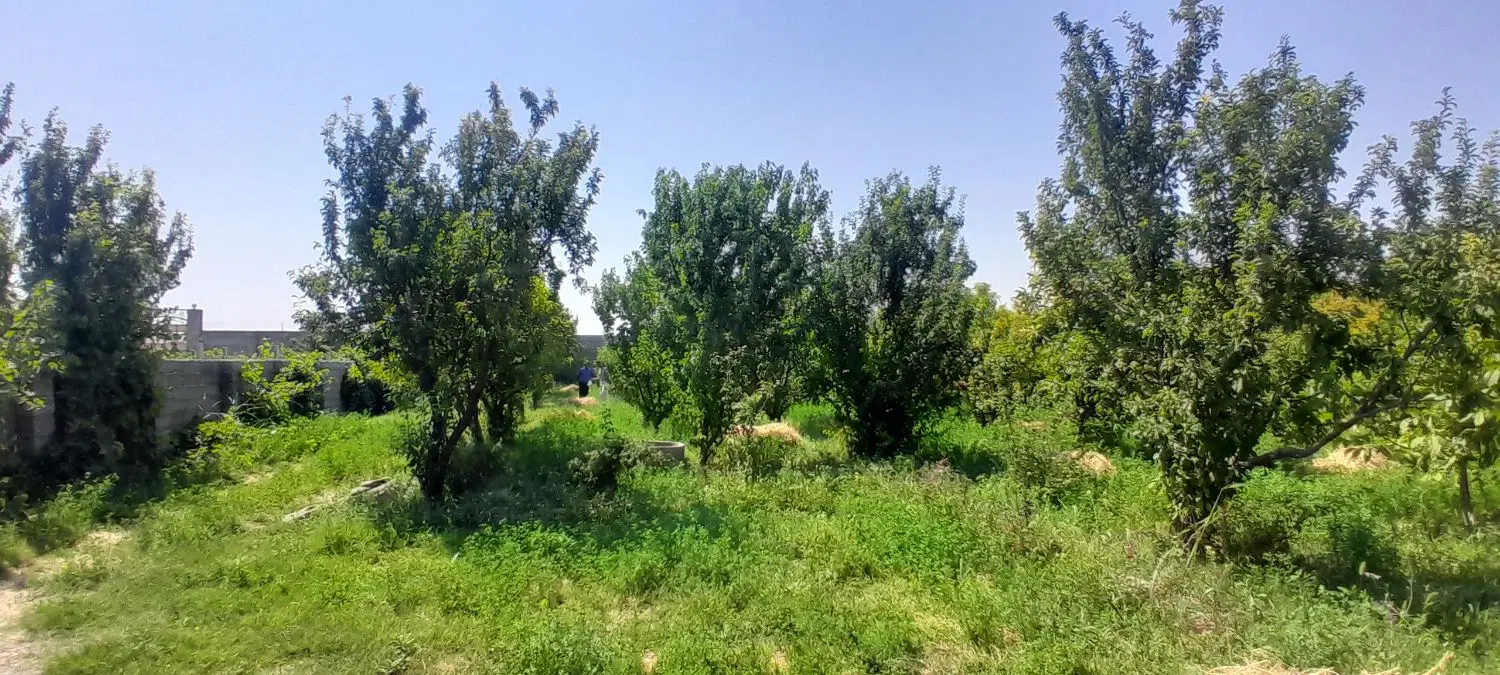 خانه باغ  در جاده سرچم 2300متر