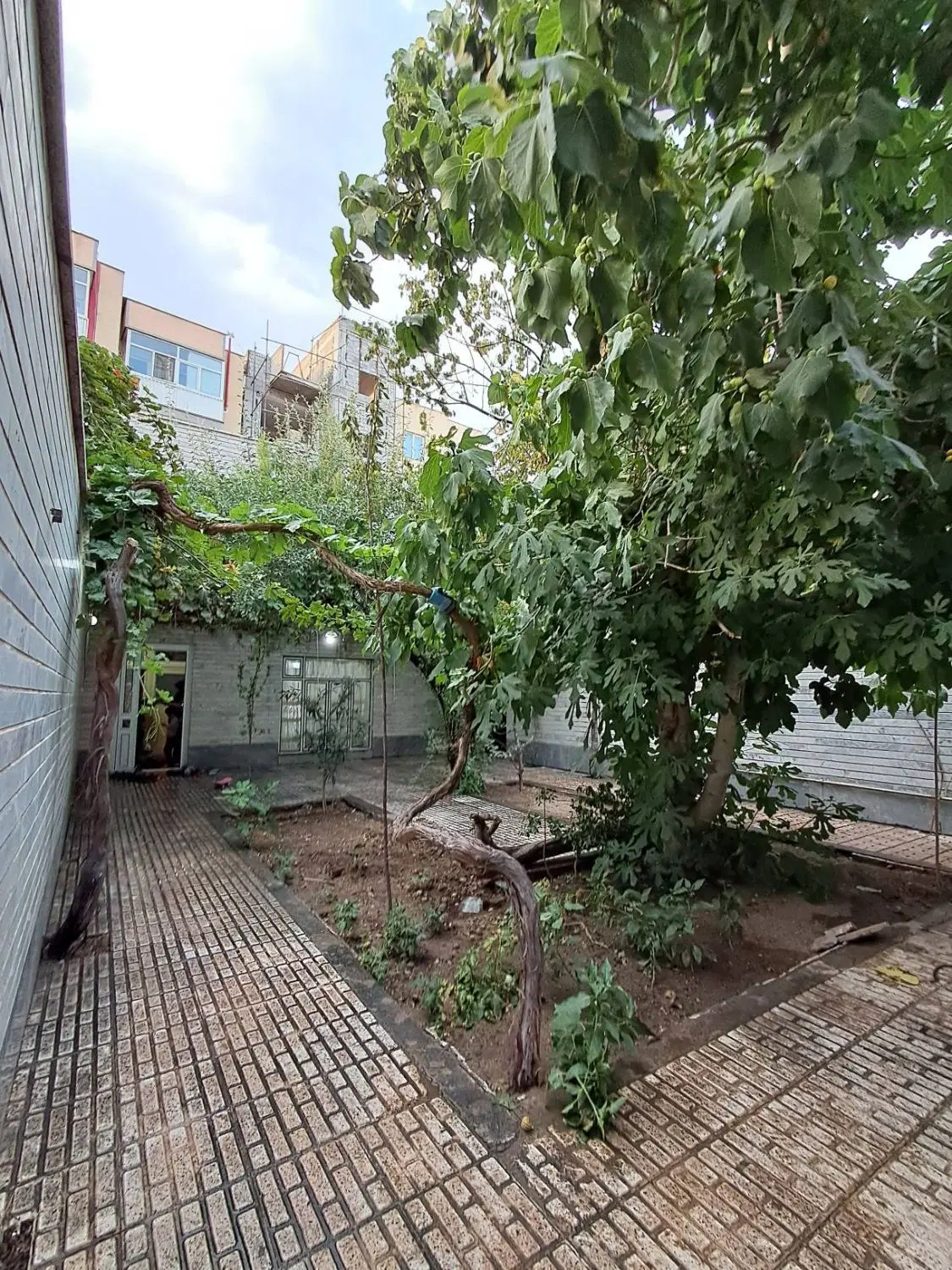 حیاط قدیمی کوچه باغ