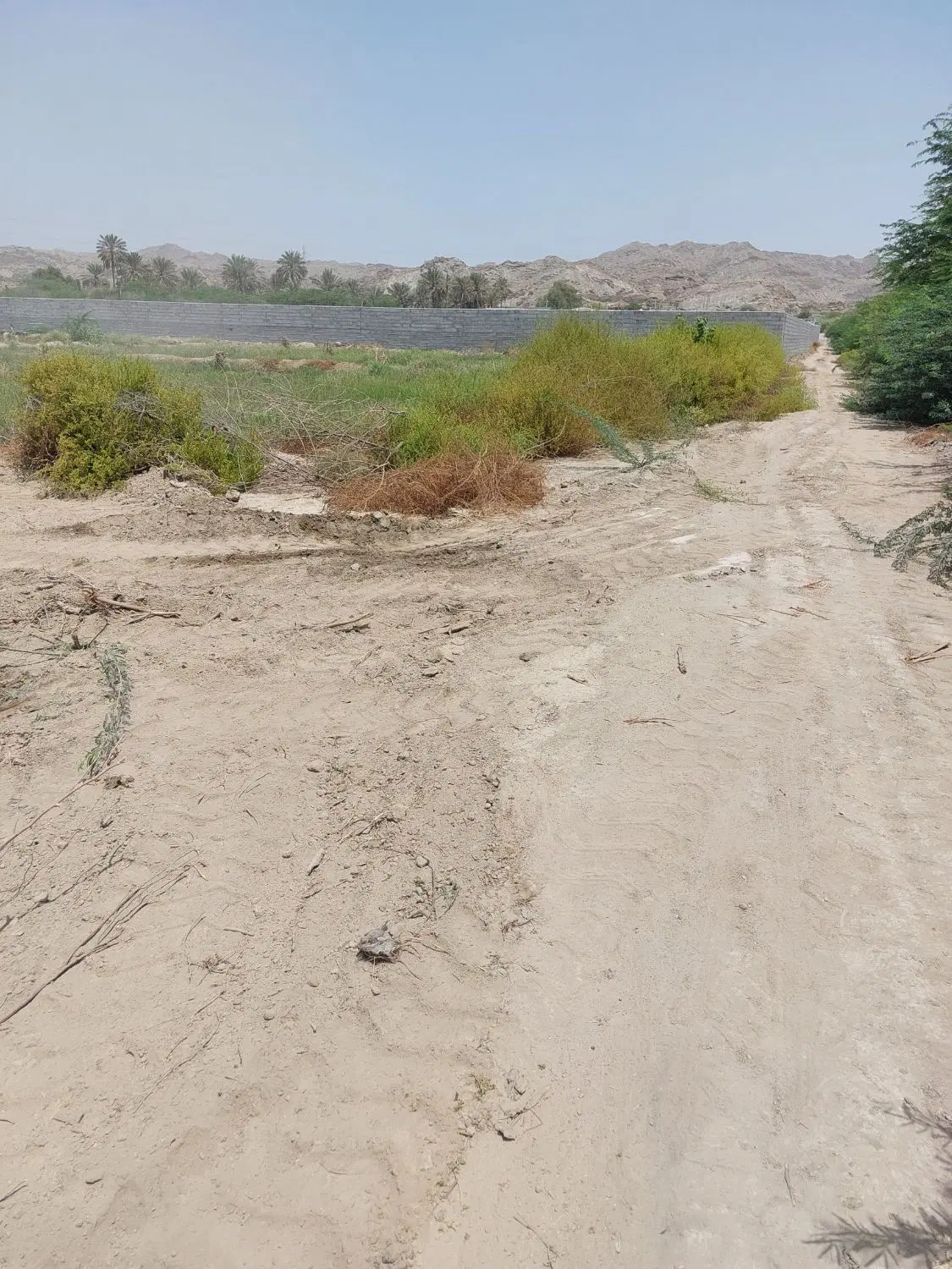 زمین باغات
