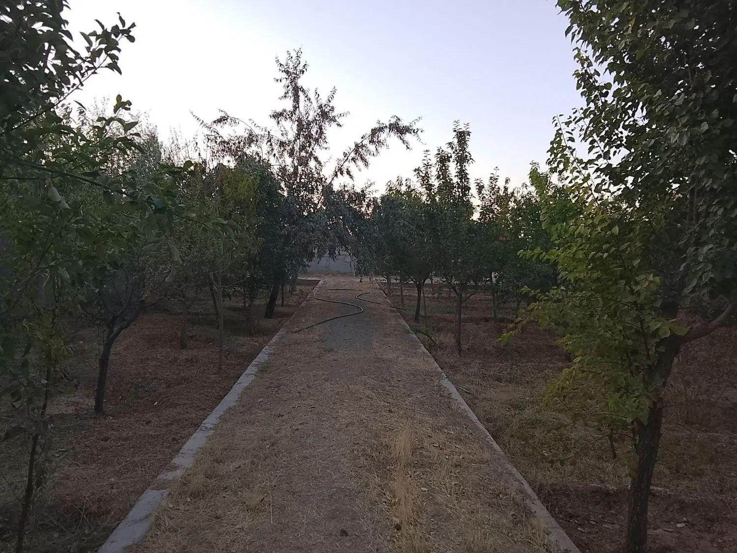 زمین باغ